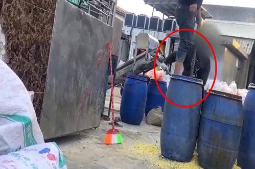 黑心食品曝光 脚踩腌菜与问题蔬菜如何守护餐桌安全